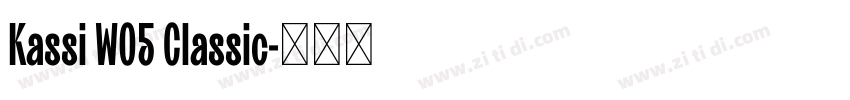 Kassi W05 Classic字体转换
